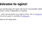 nginxのバージョンを確認する